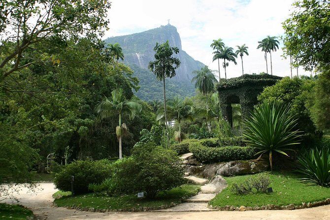 Rio de Janeiro Botanical Garden Tour - The Sum Up