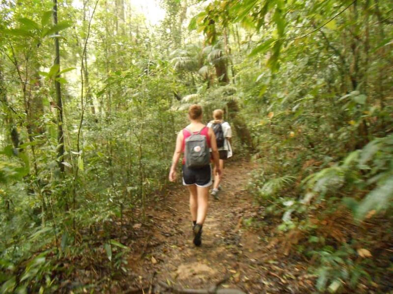 Rio de Janeiro: Christ the Redeemer Guided Hike - Who Will Love This Tour?