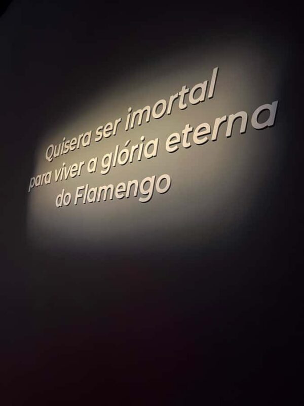 Rio de Janeiro: Flamengo Museum Ticket Entrance - Exploring the Flamengo Museum: What to Expect