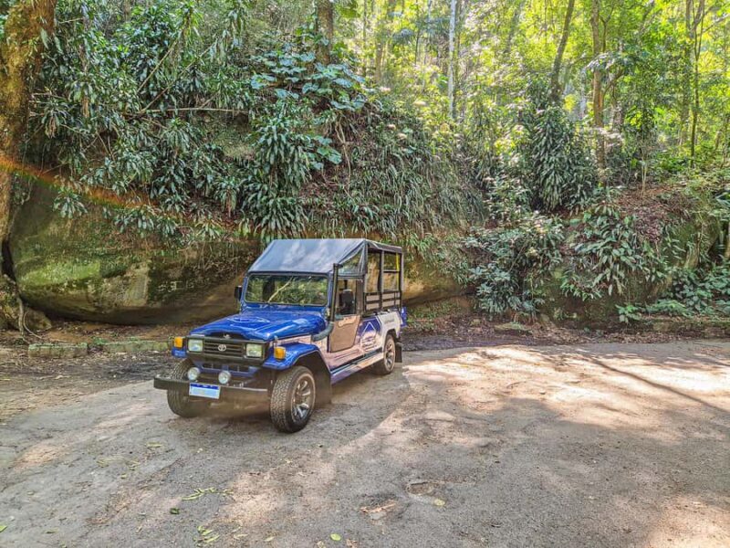 Rio de Janeiro: Guided Jeep Tour through Tijuca Rainforest - Final Thoughts