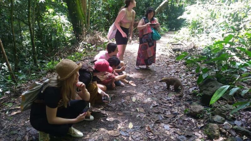 Rio de Janeiro: Jeep Tour in the Tijuca Forest - Who Should Consider This Tour?