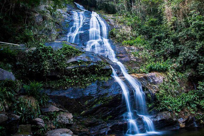 Rio de Janeiro Jeep Tour : Tijuca Forest - Who Will Love This Tour?