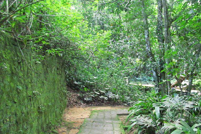 Rio de Janeiro: Jeep Tour to Tijuca Forest - Exploring Tijuca Forest in Rio: An Authentic Jeep Tour Experience