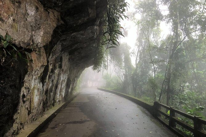 Rio de Janeiro: Jeep Tour to Tijuca Forest - Who is This Tour Perfect For?