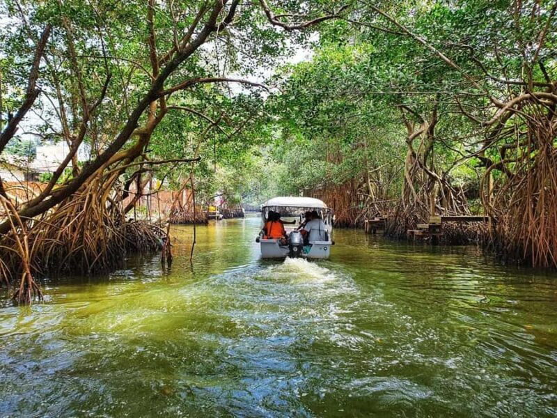 Rio de Janeiro: Joatinga Beach and Gigoia Island - Why This Tour Offers Great Value