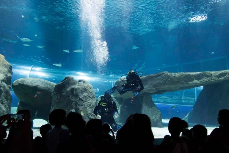 Rio de Janeiro: Marine Aquarium Entry Tickets - A Closer Look at AquaRio