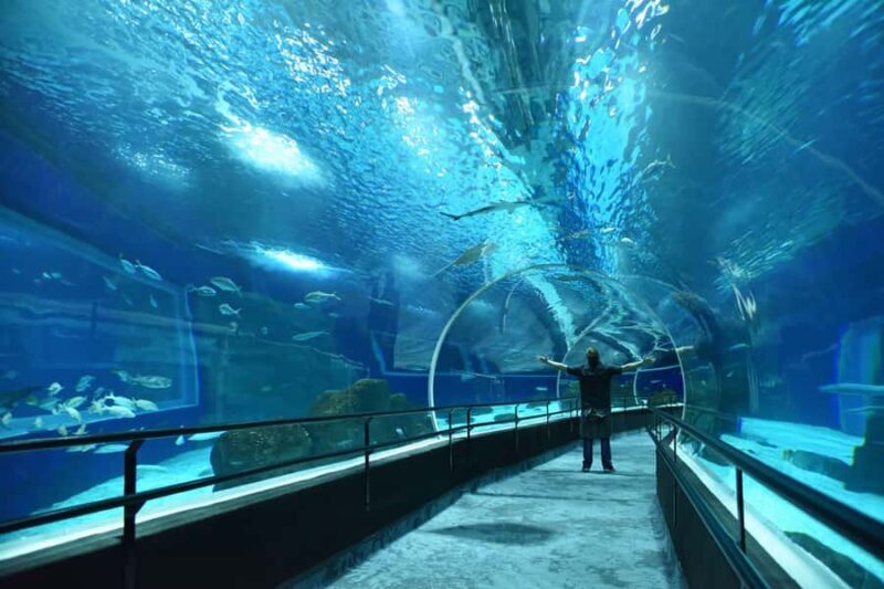 Rio de Janeiro: Marine Aquarium Entry Tickets - Final Thoughts