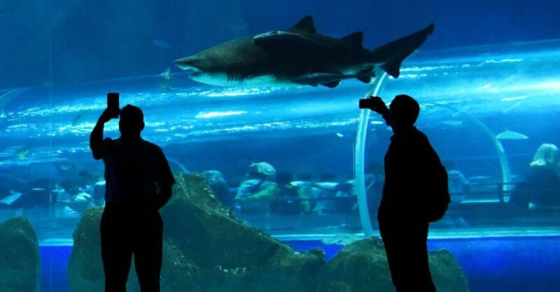 Rio de Janeiro: Marine Aquarium Entry Tickets - FAQs