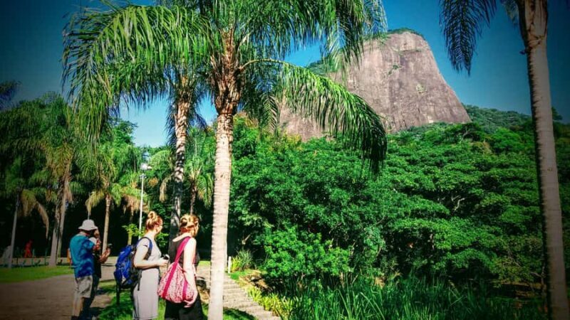Rio de Janeiro Nature Secrets 'The Eco Citytour' - Exploring Rio’s Natural Wonders: A Full Breakdown