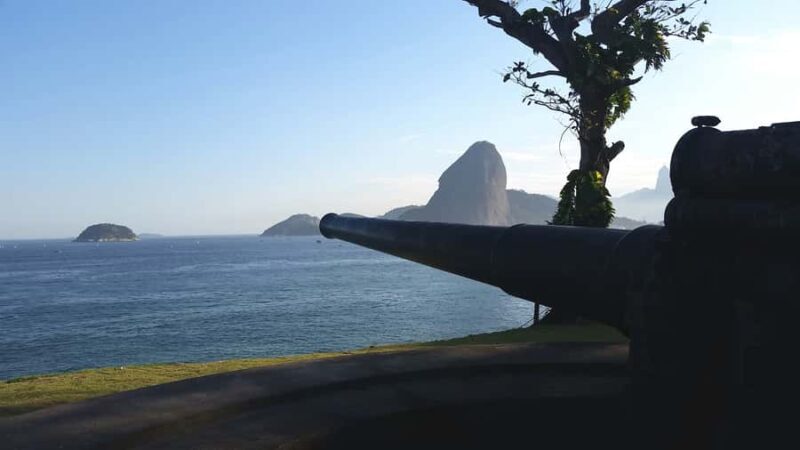 Rio de Janeiro: Niterói Day Trip - Why This Tour Offers Great Value