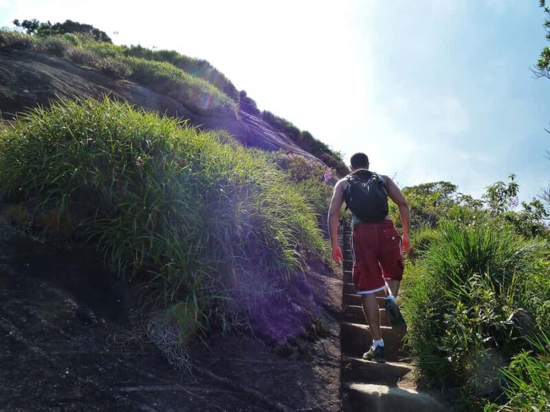 Rio de Janeiro: Pico da Tijuca Hiking Tour - Final Thoughts
