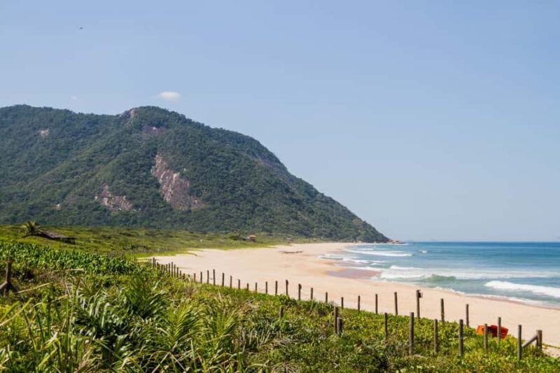 Rio de Janeiro: Prainha and Grumari Beach Tour - Exploring the Beaches: Prainha and Grumari