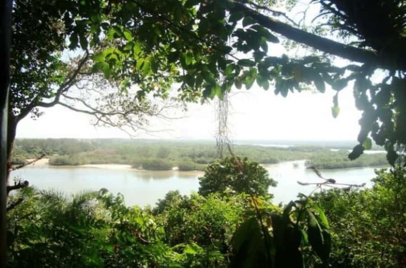 Rio de Janeiro: Prainha and Grumari Beach Tour - The Lunch in the Rainforest