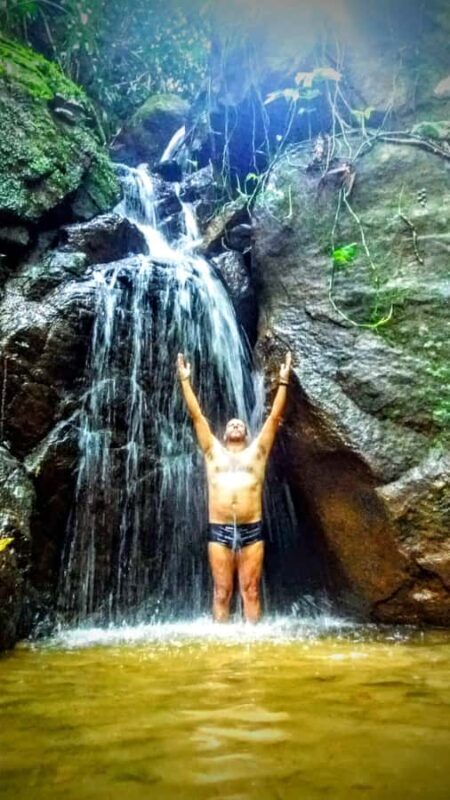 Rio de Janeiro: Tijuca Forest Challenge Hike Full-Day Trip - The Itinerary in Detail