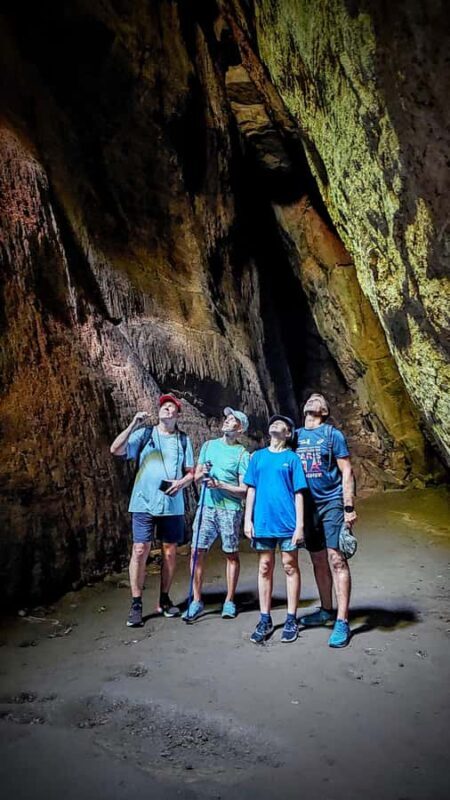 Rio de Janeiro: Tijuca Forest Challenge Hike Full-Day Trip - Practical Considerations