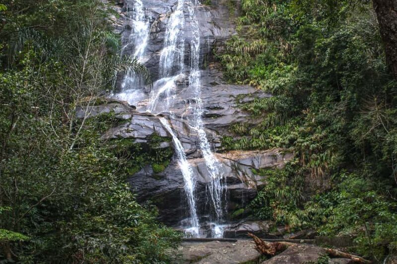 Rio de Janeiro: Tijuca Forest Waterfall of Souls Hike - A Deep Dive into the Tijuca Forest Waterfall of Souls Hike