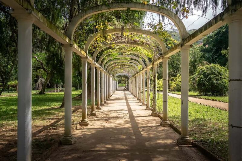 Rio de Janeiro: Tijuca National Park & Botanic Garden Tour - A Detailed Look at the Tour Experience