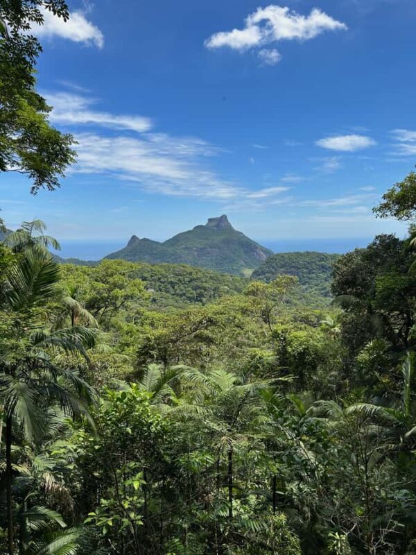 Rio de Janeiro: Tijuca National Park Tour - Final Thoughts: Is It Worth It?