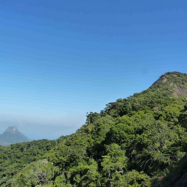 Rio de Janeiro: Tijuca Peak Guided Hike - The Sum Up