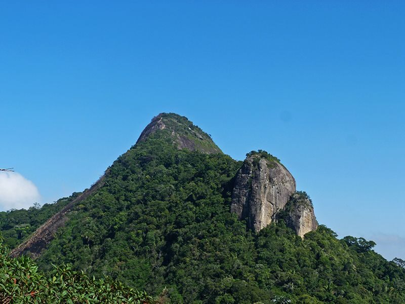 Rio de Janeiro: Tijuca Peak Guided Hike - FAQ