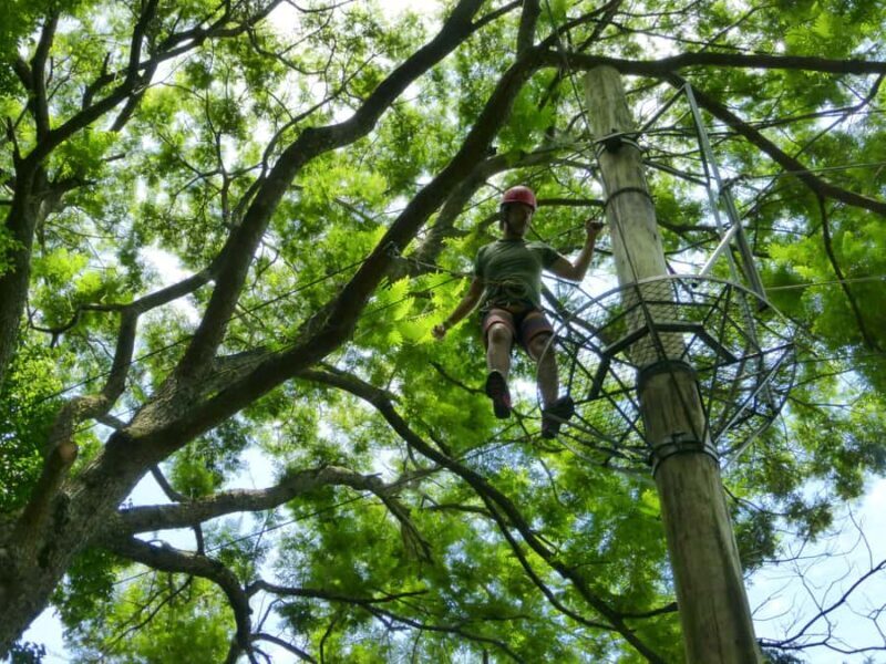 Rio de Janeiro: Zip Lining and Canopy Tree Tour - The Sum Up: Who Would Love This Tour?