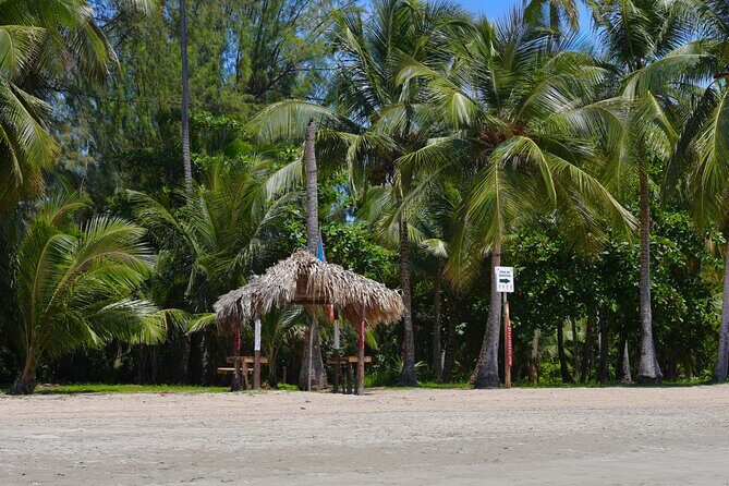 Rio grande & Luquillo Jet Ski Tour - A Deep Dive into the Rio Grande & Luquillo Jet Ski Experience