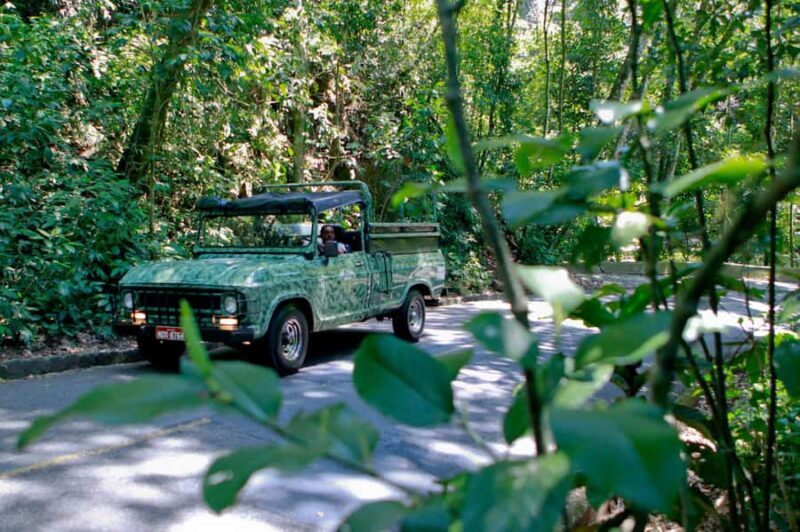 Rio: Half-Day Jeep Tour at Floresta da Tijuca - Rio: Half-Day Jeep Tour at Floresta da Tijuca