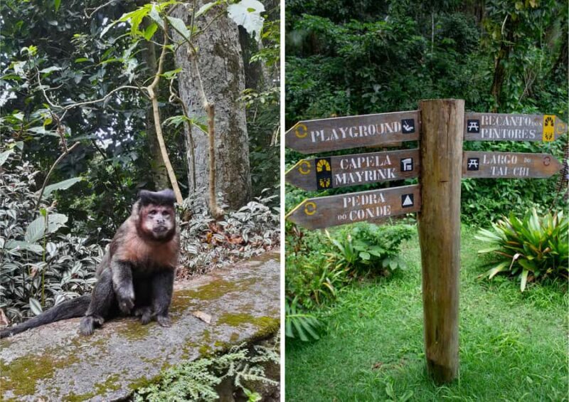 Rio: Half-Day Jeep Tour at Floresta da Tijuca - Frequently Asked Questions