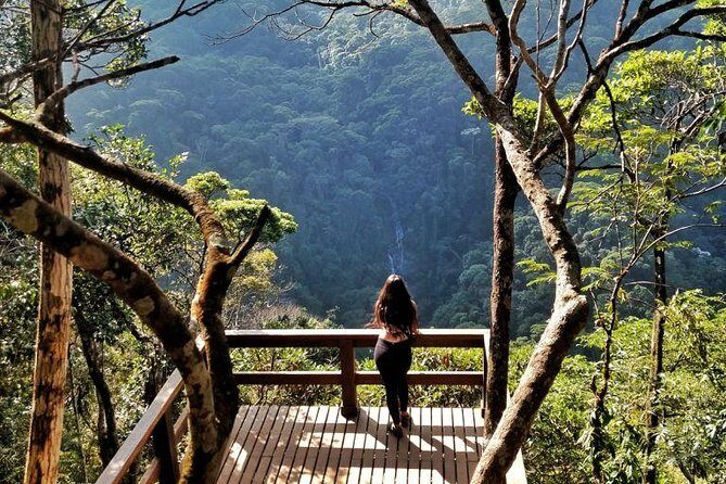 Rio in One Day Private Tour with Christ the Redeemer by Train - Exploring Rio in a Day: What You Can Expect