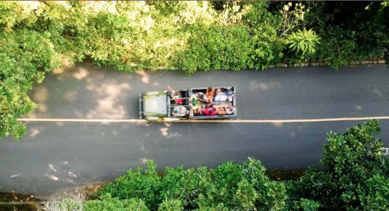 Rio: Jeep Tour with Corcovado, Tijuca Forest and Sta Teresa - Final Thoughts