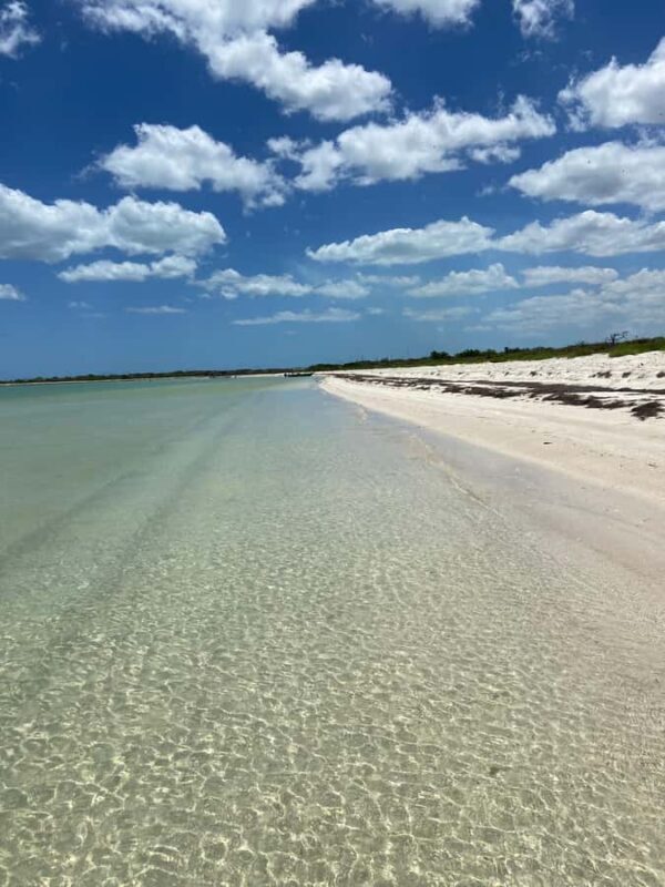 Río Lagartos 3 Islands, Mayan history and Oasis - Who Will Love This Tour?