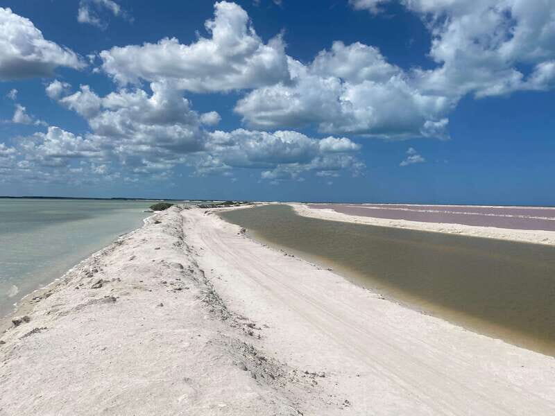 Rio Lagartos and Las Coloradas: EcoSafari Flamingo classic - Key Points