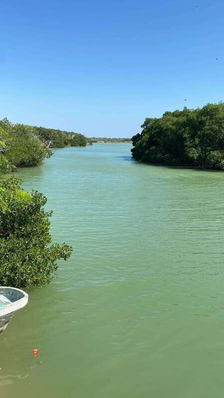 Rio Lagartos and Las Coloradas: EcoSafari Flamingo Luxury - A Closer Look at What the Tour Offers