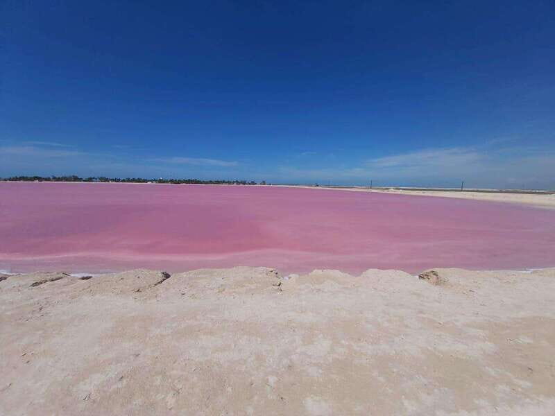 Rio Lagartos and Las Coloradas: EcoSafari Flamingo Luxury - The Itinerary in Detail