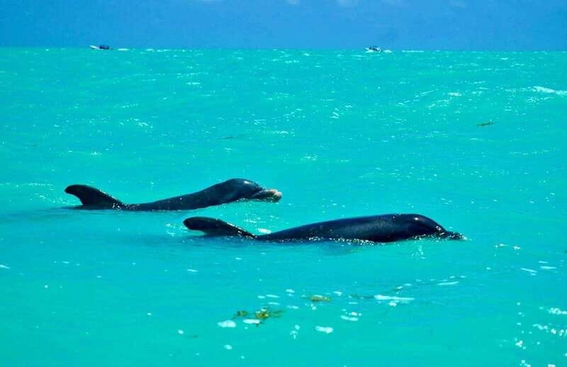 Rio Lagartos and Las Coloradas: EcoSafari Flamingo Luxury - Final Thoughts