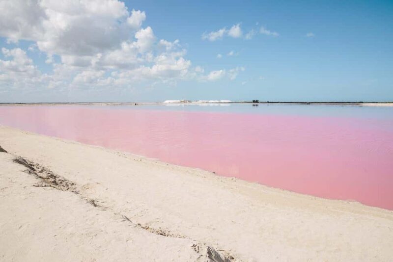 Río Lagartos and Las Coloradas: Natural Experience - The Sum Up