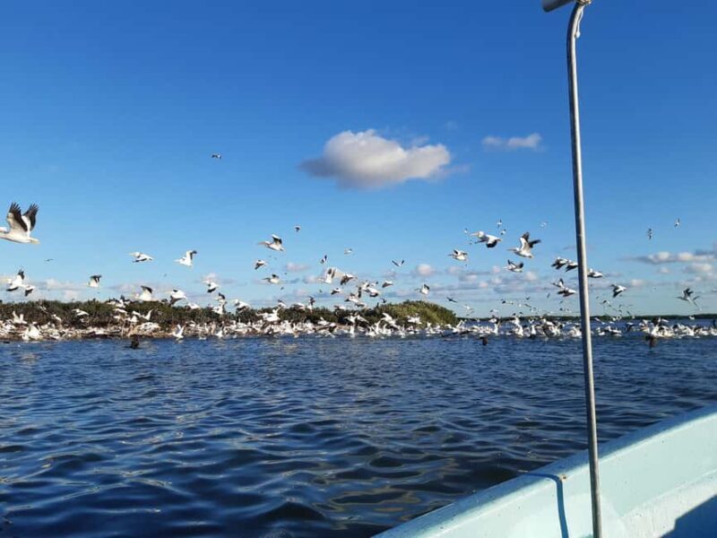 Rio Lagartos and San Felipe: Cerritos Island, adventure tour and Mayan culture. - An In-Depth Look at the Cerritos Island Experience