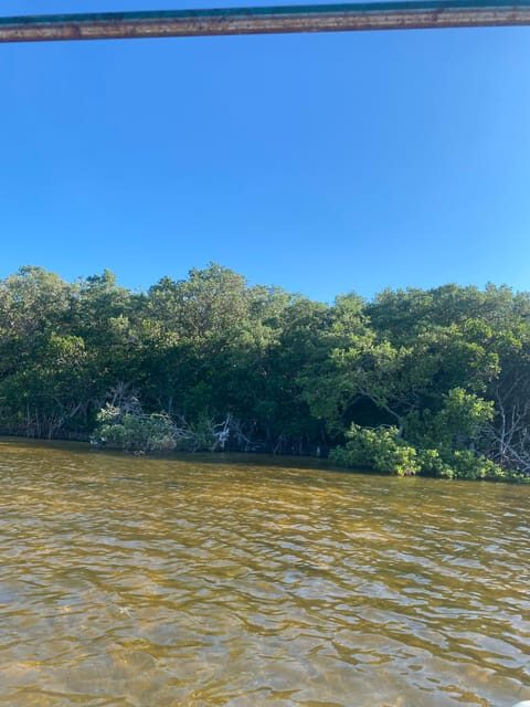Rio Lagartos Expedition: boat journey through the mangrove - FAQ