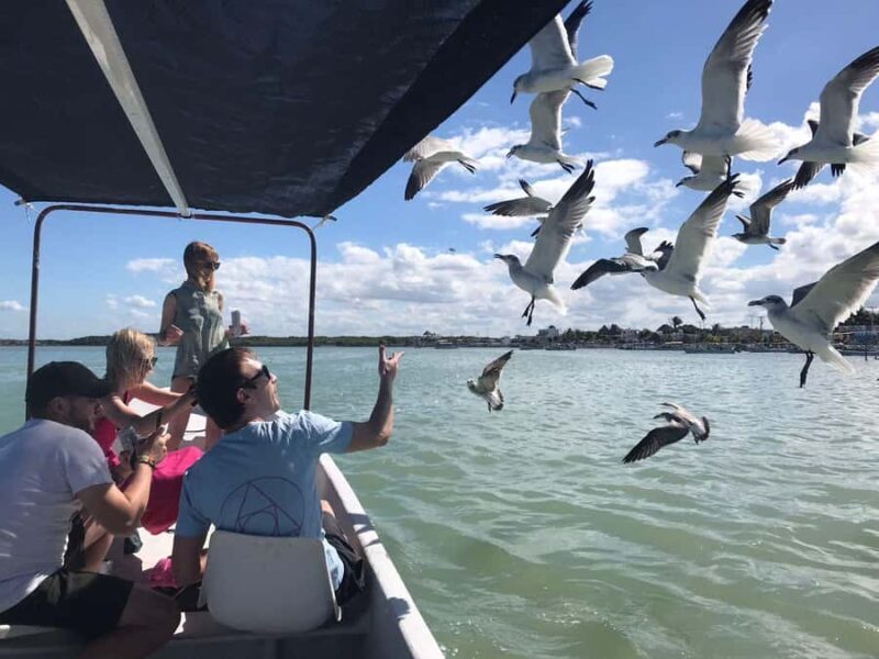 Río Lagartos & Las Coloradas Boat Tour: Flamingos, Mangroves - The Full Experience: A Deep Dive