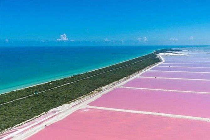 Río Lagartos y Las Coloradas Private Tour from Merida - Practical Details and Tips