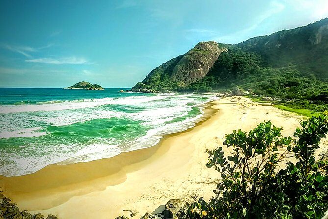 Rio Nature Secrets - The Eco Citytour (small group or private) - In-Depth Look at the Rio Nature Secrets Tour