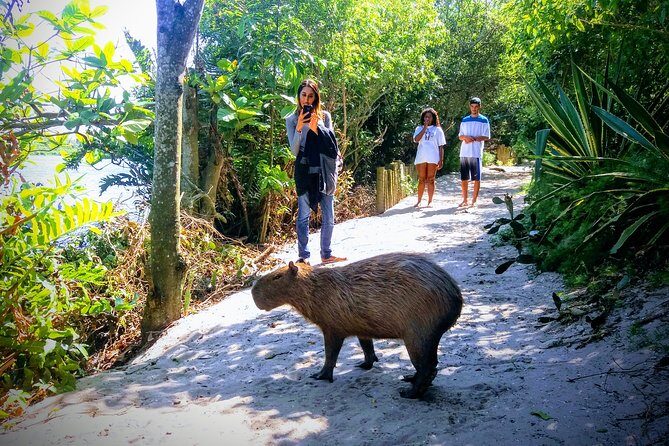 Rio Nature Secrets - The Eco Citytour (small group or private) - A Deep Dive into Rio Nature Secrets - The Eco Citytour