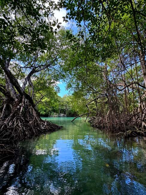 Rio San Juan: Private Tour & Boat Ride & Hidden Gems - Authentic Value and Real Traveler Perspectives