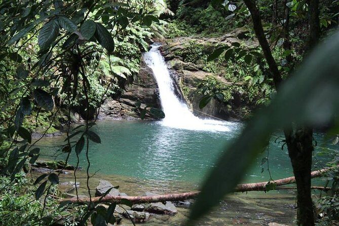 Rio Seco Waterfall - Exploring the Rio Seco Waterfall: A Natural Treasure in Trinidad