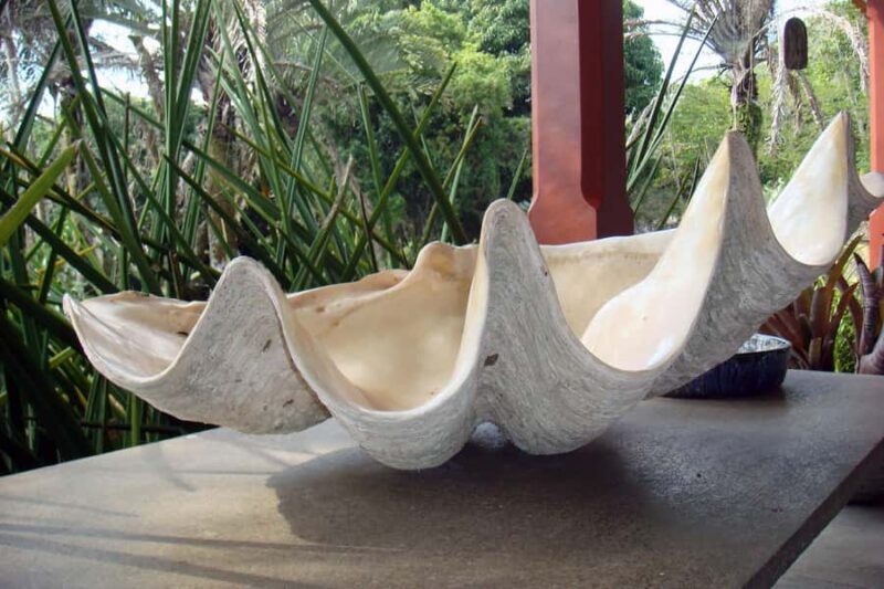 Rio: Sitio Burle Marx and Cachaça Distillery Private Tour - Final Thoughts: Who Should Consider This Tour?