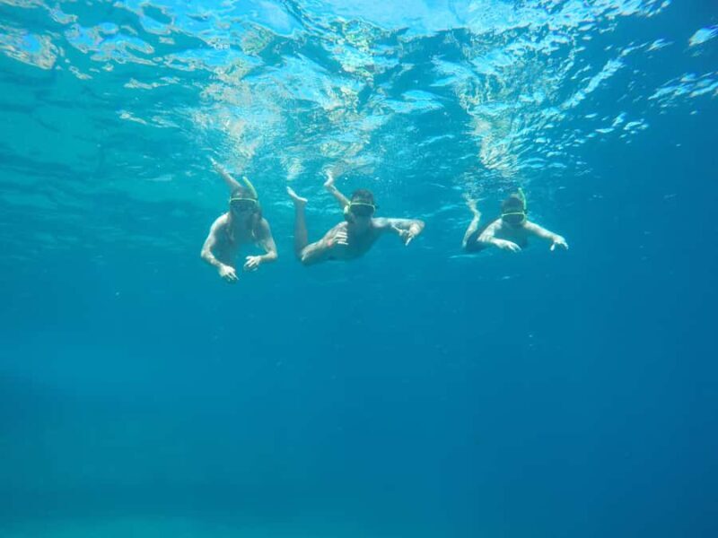 Rio: Snorkel & Swim with Turtles Tour at Tijuca Islands - Key Points