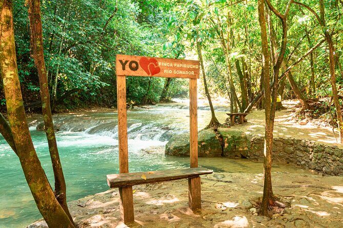 Rio Sonador River and Food Experience - Introduction: Experience the Quiet Charm of Río Sonador in Puerto Plata