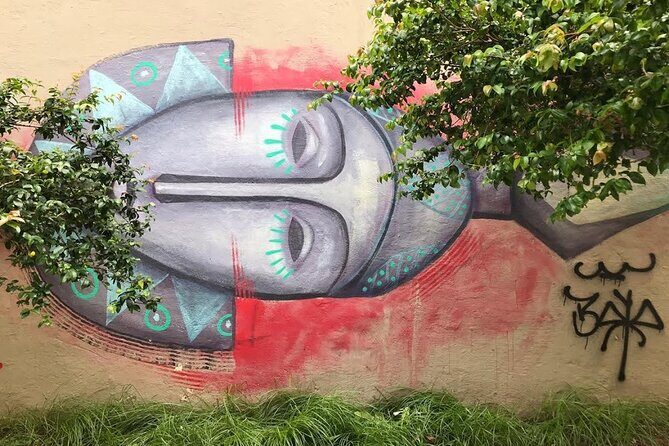 Rio Street Art Tour - An In-Depth Look at the Rio Street Art Tour