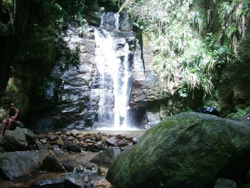 Rio: Tijuca Forest & Horto Waterfalls Circuit Tour - In Closing