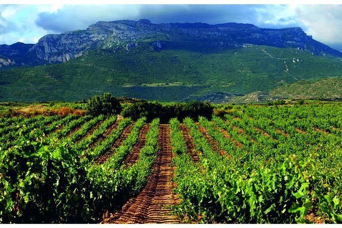 Rioja Alavesa Wineries and Medieval Villages Day Trip - Detailed Breakdown of the Itinerary